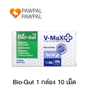 ภาพหน้าปกสินค้าV-max Bio-Gut 20 g Exp.1/2024 Probiotics โพรไบโอติก Bio Gut อาหารเสริม ปรับสมดุลทางเดินอาหาร ท้องเสีย ท้องผูก ฟื้นฟูเซลล์ลำไส้ (1 กล่อง 10 เม็ด) ที่เกี่ยวข้อง