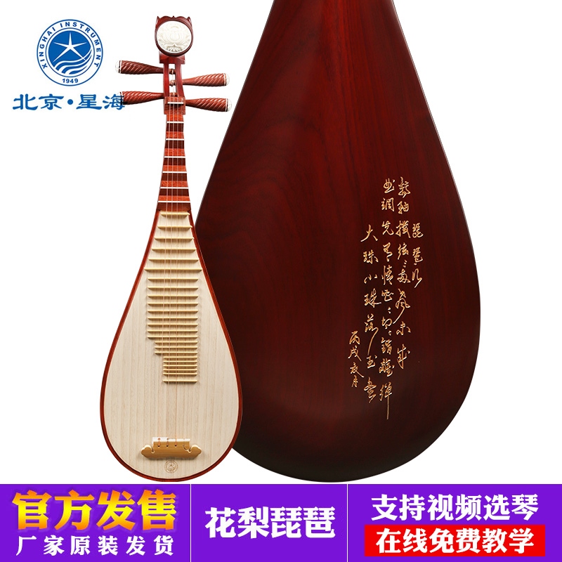 Pipa Instrument ราคาถูก ซื้อออนไลน์ที่ - พ.ค. 2022 | Lazada.co.th