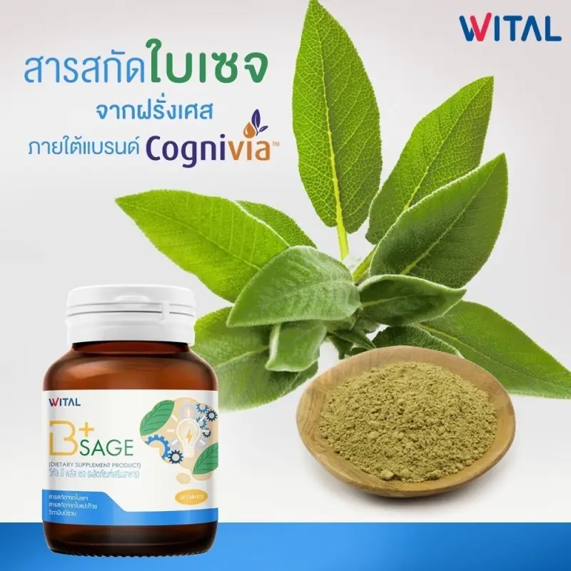 ภาพสินค้าWITAL - Wital B+ Sage อาหารเสริมบำรุงสมอง วิตามินบีรวม + ใบเซจ (1 ขวด) จากร้าน WITAL บน Lazada ภาพที่ 3