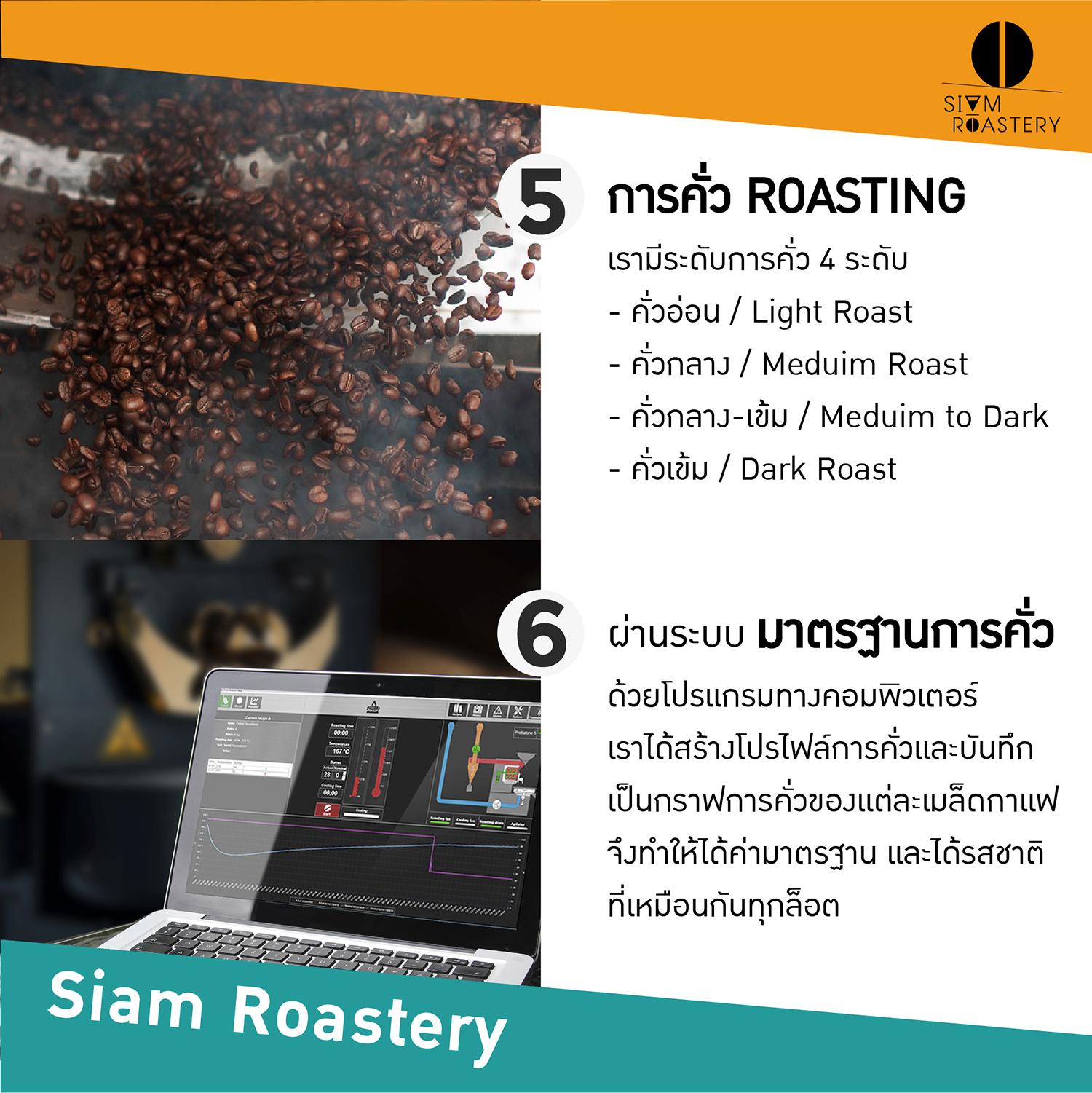 เมล็ดกาแฟดอยช้าง Doi Chang กาแฟดอยช้าง Washed Process คั่วกลาง 1kg ...