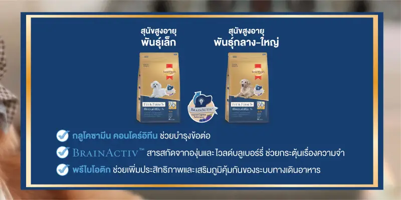 ภาพสินค้าSmartHeart GOLD Fit&Firm 7+ สมาร์ทฮาร์ท โกลด์ อาหารสุนัข ขนาด 3 kg จากร้าน Pet Powers บน Lazada ภาพที่ 3