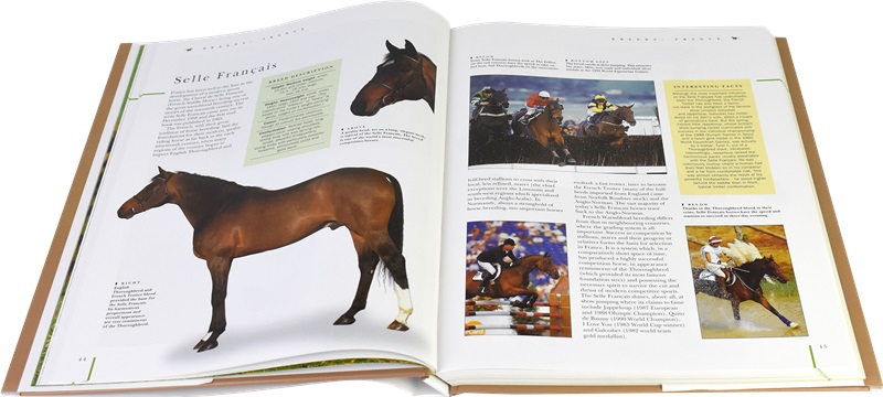 The breed and cultural theme of the Ultimate Encyclopedia of horses ...