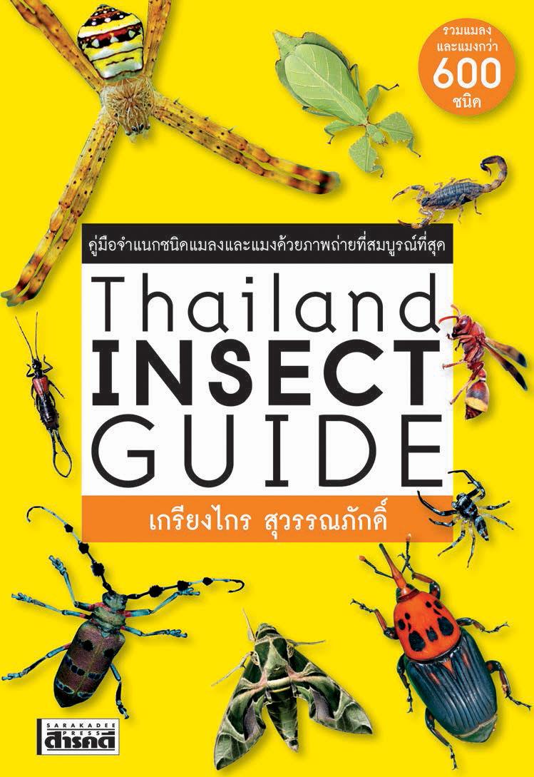 Thailand INSECT GUIDE