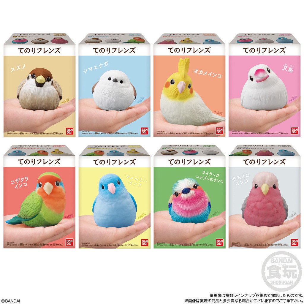 Bandai Tenori Friends โมเดลสัตว์ โมเดลนก สมจริง สัตว์ น่ารัก Bird Model Figure ลิขสิทธิ์แท้ โมเดล ตกแต่ง MoMo Land