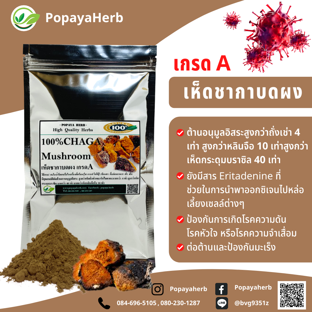 เห็ดชากา ผง (100% CHAGA Mushroom)100g. ชลอวัย