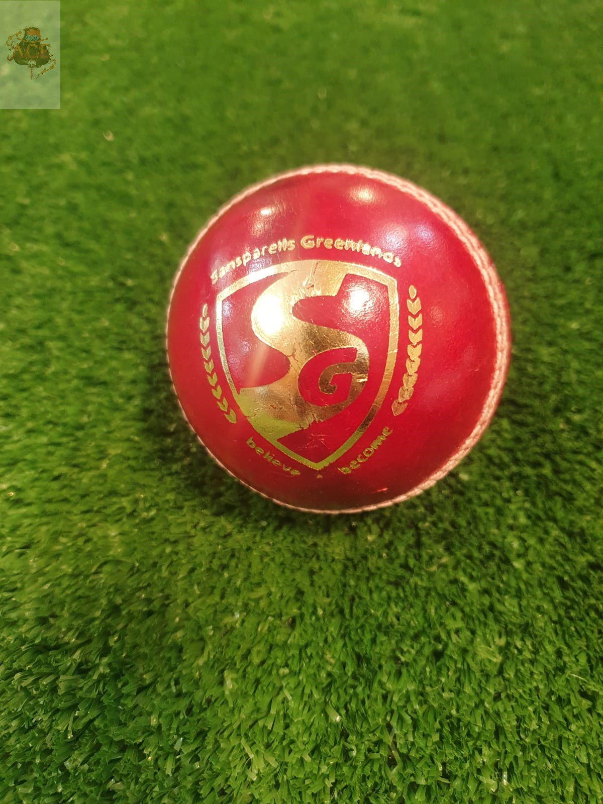 Cricket ball ลูกคริกเก็ต 156g SG Original brand new