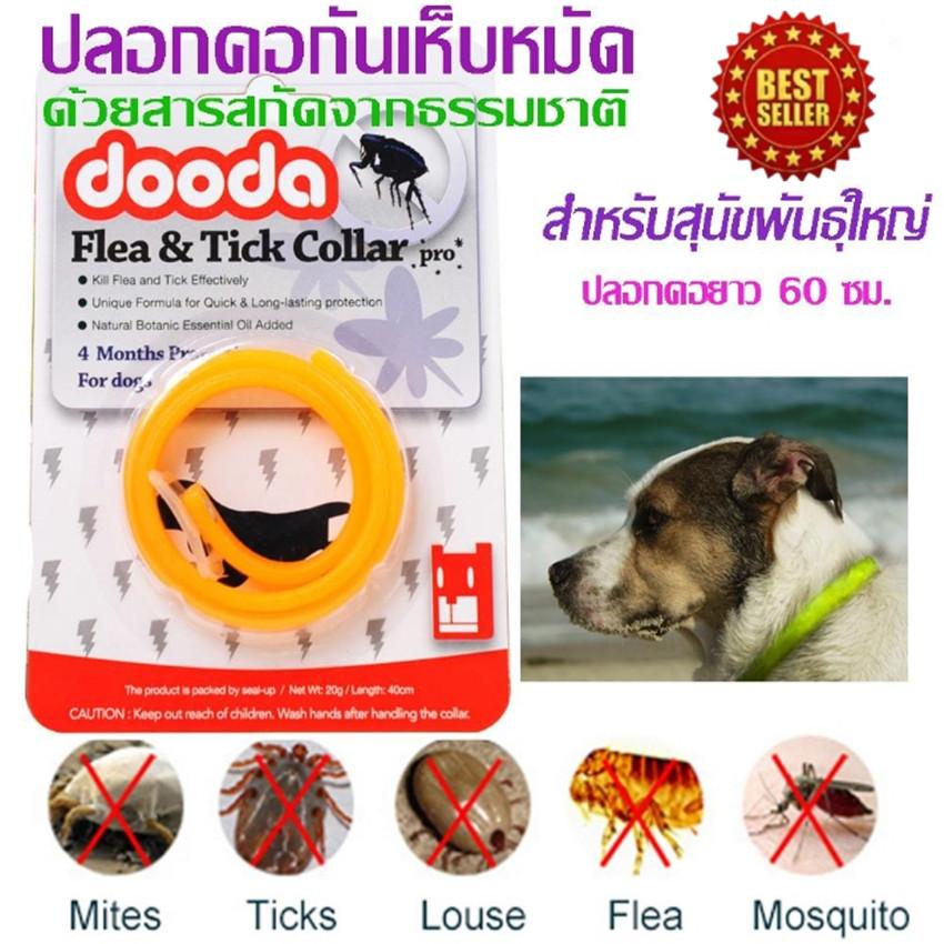 Dooda Flea & Tick Collar Protection ปลอกคอกันเห็บ หมัด ป้องกันกำจัดเห็บหมัด ยุง และแมลงที่มากวนสัตว์เลิ้ยงแสนรัก สีส้ม