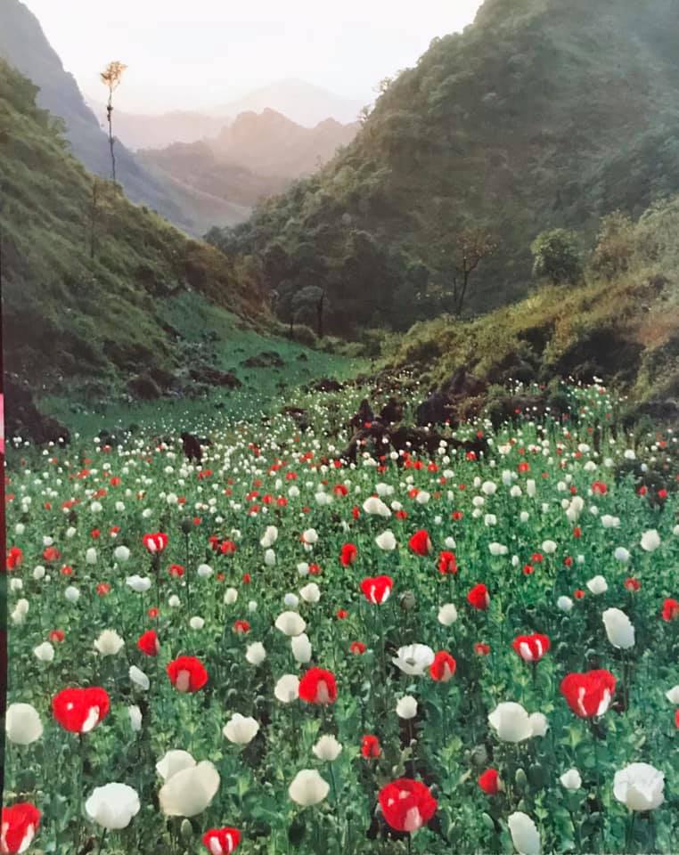 ภาพวิวสวยงาม ประดับตกแต่งบ้าน เสริมฮวงจุ้ย รูปภาพติดผนัง ขนาดภาพ 16x20 นิ้ว หรือ ( 41 cm. x 51 cm. )