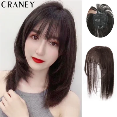 25cm/35cm Short Wig Hair Extension With Air Bang Natural Women Wig Reissue Block Short Straight Wig Hair For Ladies Girls