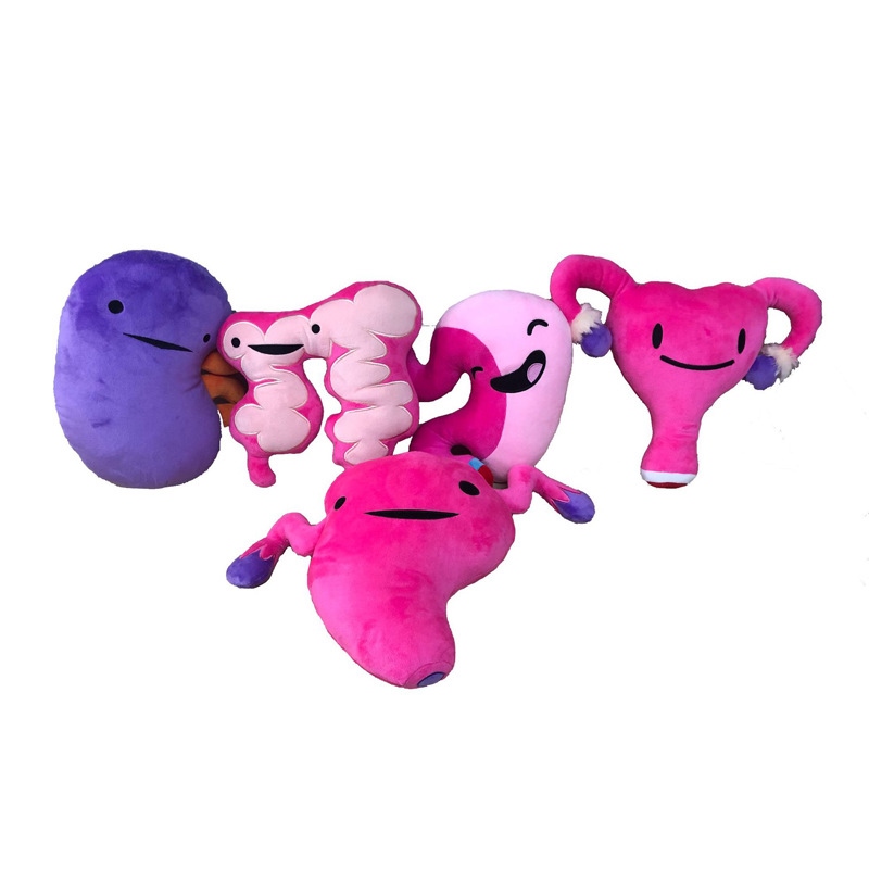 2022 28CM Human Organs Plush Toys Soft Cartoon Large Intestine Heart Uterus Plushies Stuffed