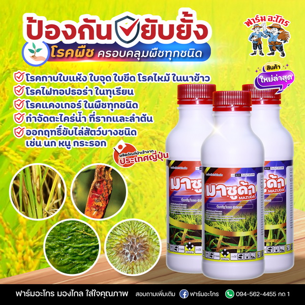 1 lít masuda với 12 chai sản phẩm bảo vệ/kháng khuẩn