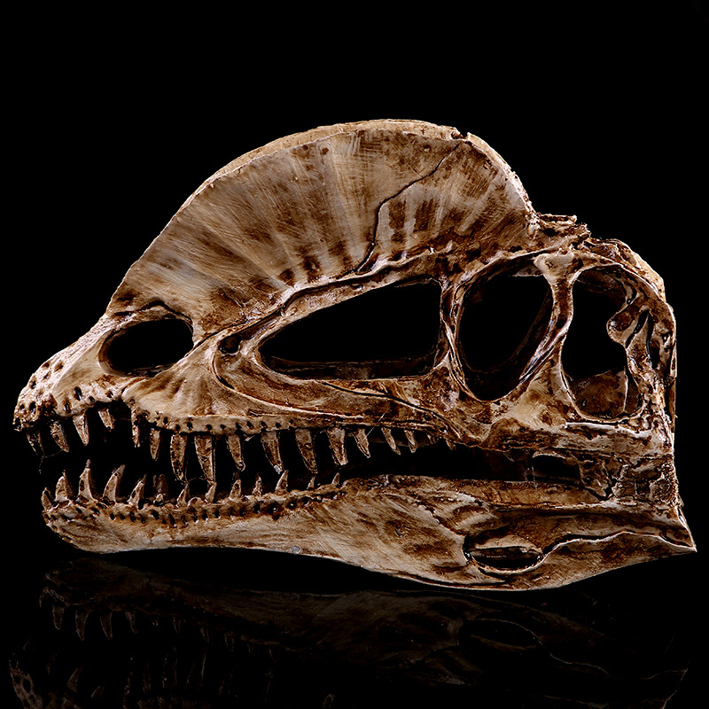 JAPAN โมเดล หัวกะโหลก ไดโนเสาร์ Dinosaur สุดโหด วัสดุ เรซิ่น Resin กะโหลกผี Skull ตกแต่งบ้าน ปาร์ตี้ฮาโลวีน Halloween โครงกระดูก หัวกะโหลกจำลอง ของขวัญ Gift  Limited edition ของสะสมคอลเลคชั่นพิเศษ Collection