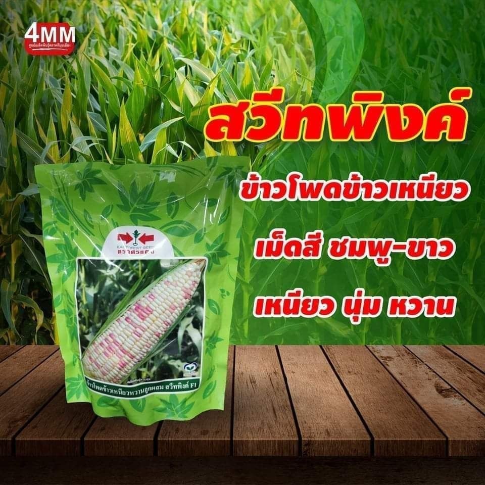 My Image 21