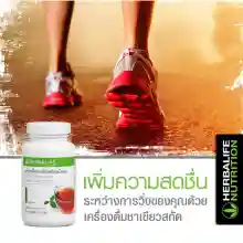 ภาพขนาดย่อของภาพหน้าปกสินค้าHerbalife Green Tea Extract เฮอร์บาไลฟ์ ชาเขียวสกัดชนิดผง รส Original เพิ่มการเผาผลาญ ลดสัดส่วน 102 กรัม จากร้าน Herbal_Love บน Lazada ภาพที่ 1