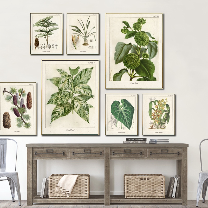 Vintage Wild Plant Poster Botanical Flower Study Poster Living Room ...