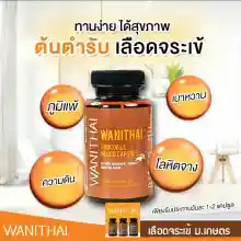 ภาพขนาดย่อของภาพหน้าปกสินค้าWANITHAI เลือดจระเข้ วานิไทย ม.เกษตรศาสตร์ (100 แคปซูล/ขวด) จากร้าน Rg Shop บน Lazada ภาพที่ 4