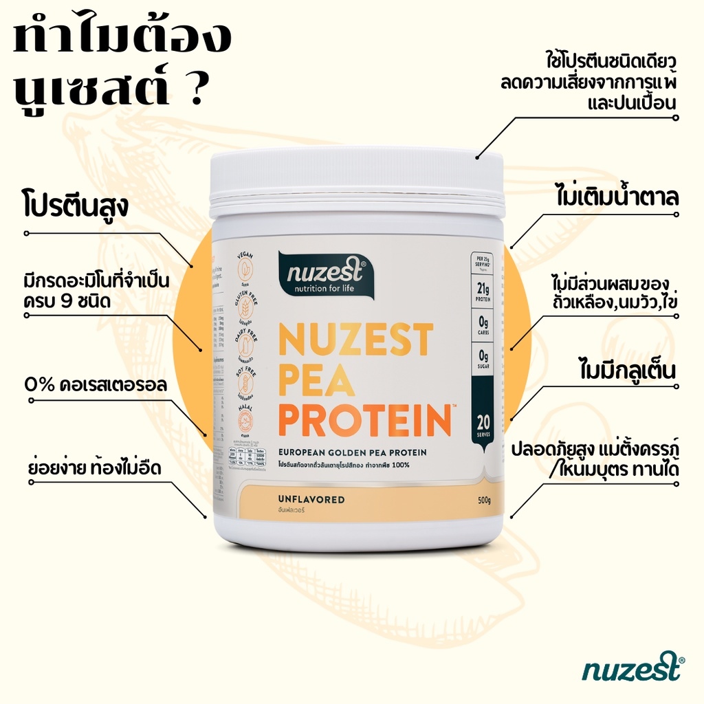Nuzest Pea Protein นูเซสต์ พี โปรตีน ขนาด 500 กรัม รสธรรมชาติ
