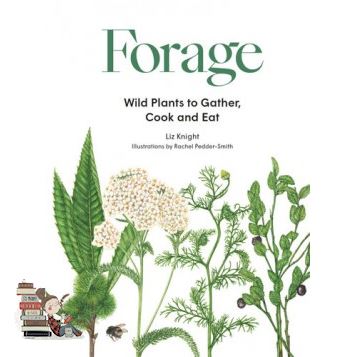 Clicket ! >>> FORAGE: WILD PLANTS TO GATHER AND EAT