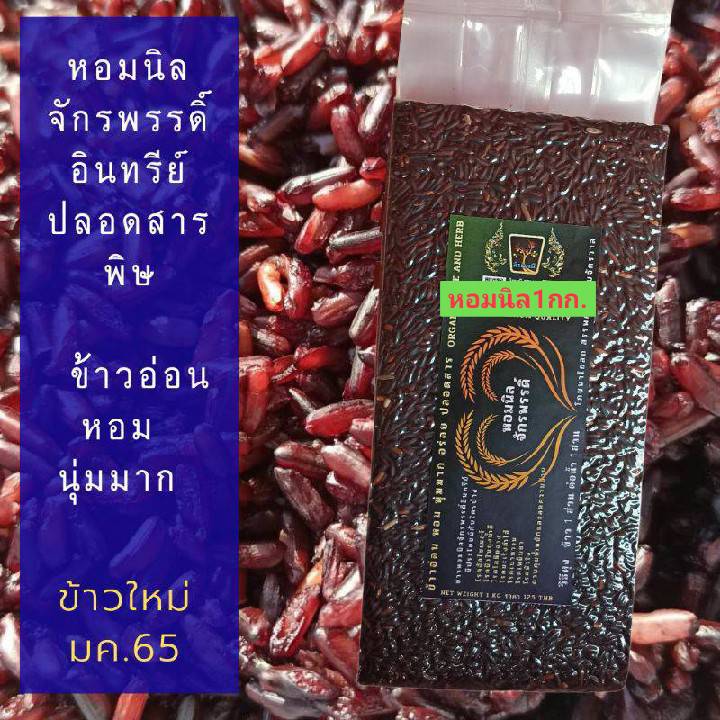 ข้าวใหม่ปี 66 ข้าวกล้องแดง ข้าวกล้องหอมมะลิแดง กล้องแดง ข้าวซ้อมมือ หอม ...