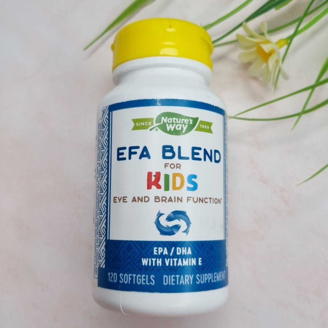 อาหารเสริมสนับสนุนสมอง และดวงตา สำหรับเด็กอายุ 5 ปี EFA Blend for Kids