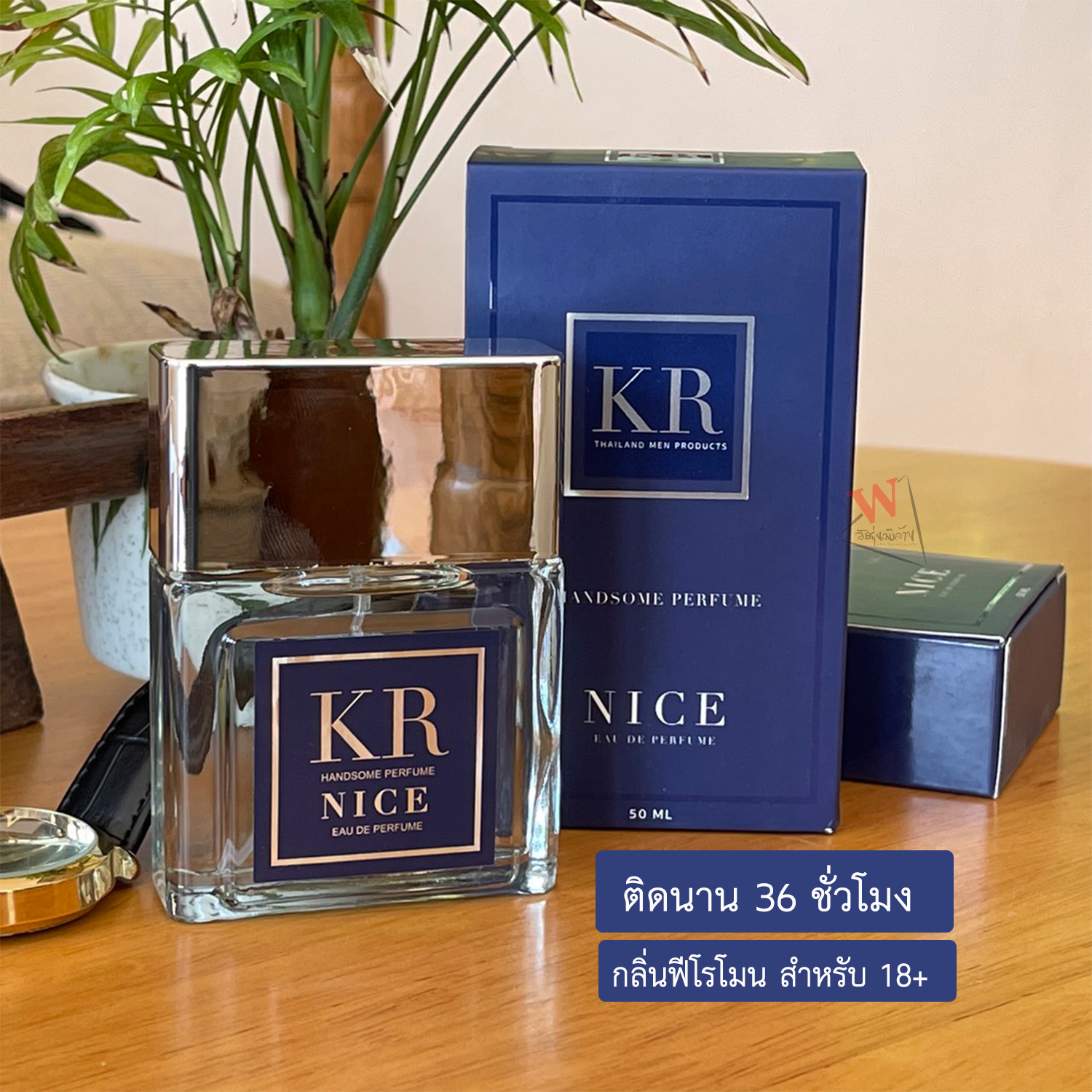 kr-nice-handsome-perfume-meehshop-thaipick