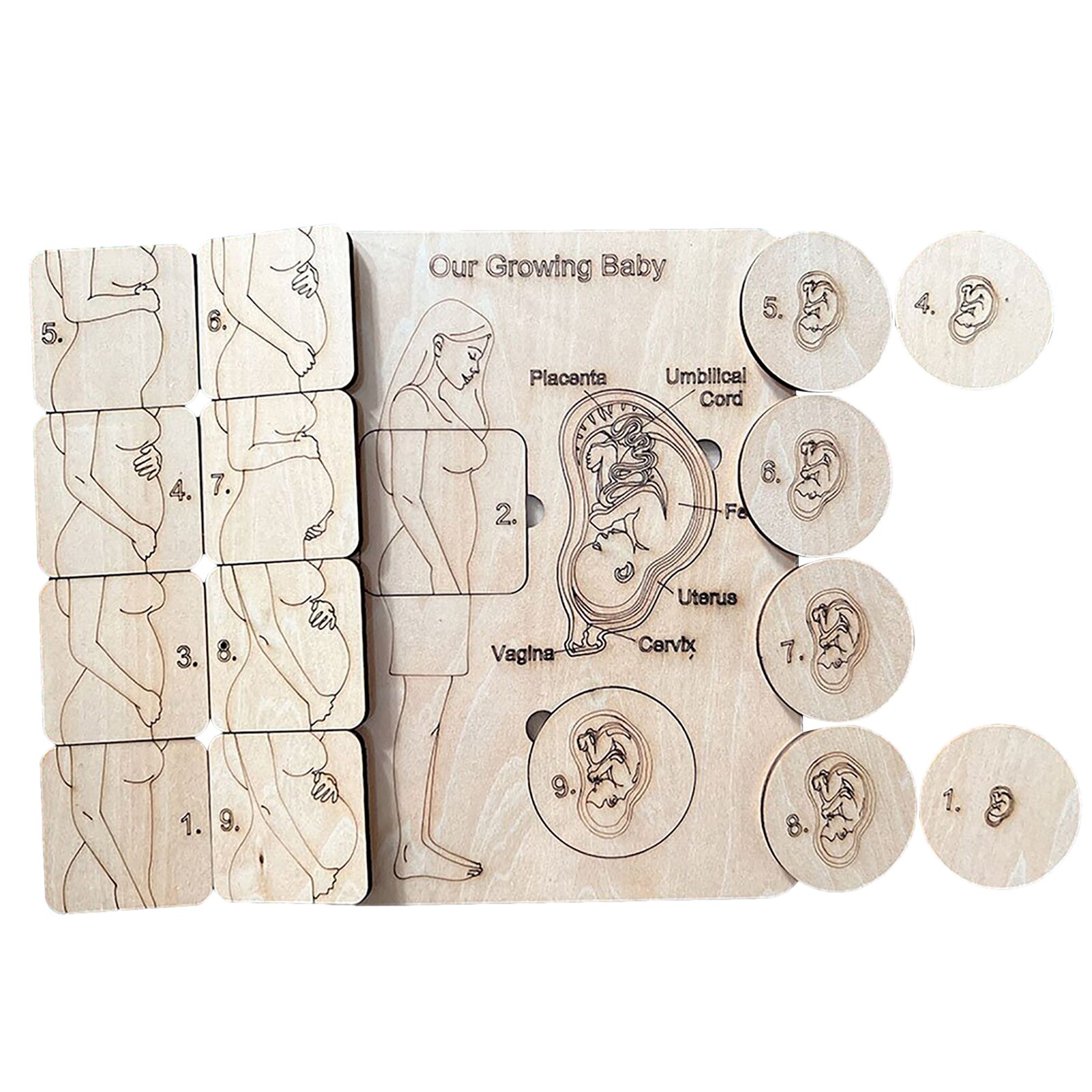 Wooden Peg Puzzle For Toddlers Toddler Puzzles With Unique Pregnant