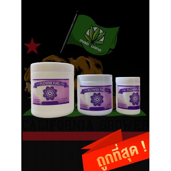 Flower Fuel ปุ๋ยเสริมดอกพรีเมี่ยม ขนาด500g1000g Lazada.co.th