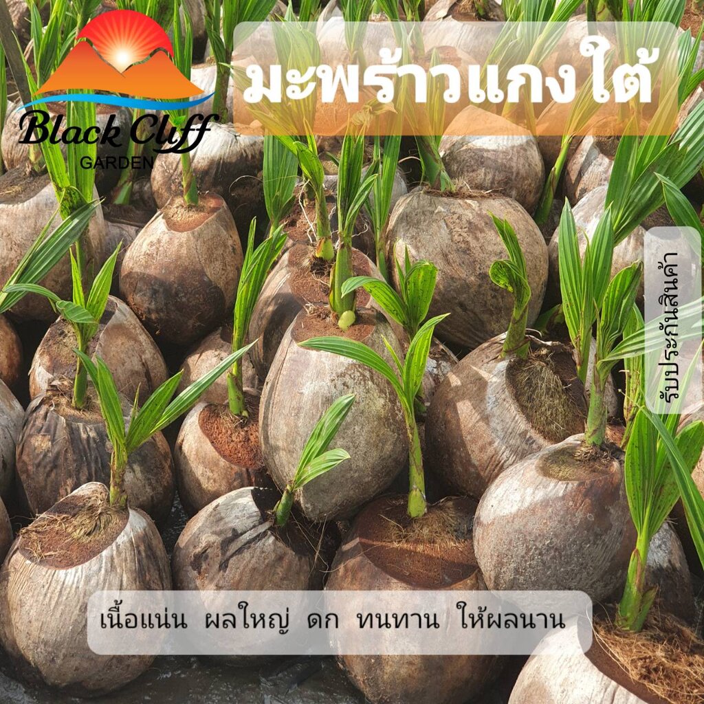 My Image 11