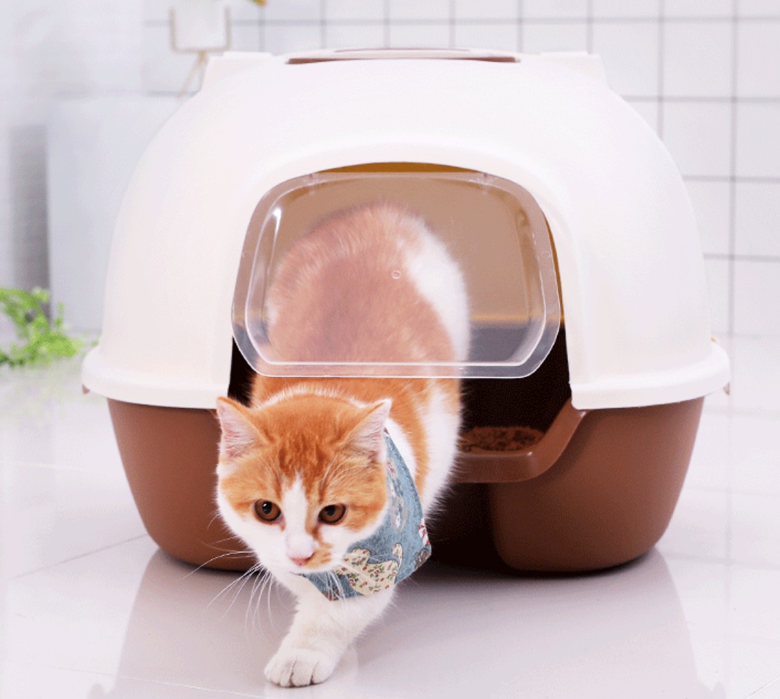 ห้องน้ำแมว กระบะทรายแมว รุ่นเปิดหลัง Cat litter house-sport สีน้ำตาล #P006
