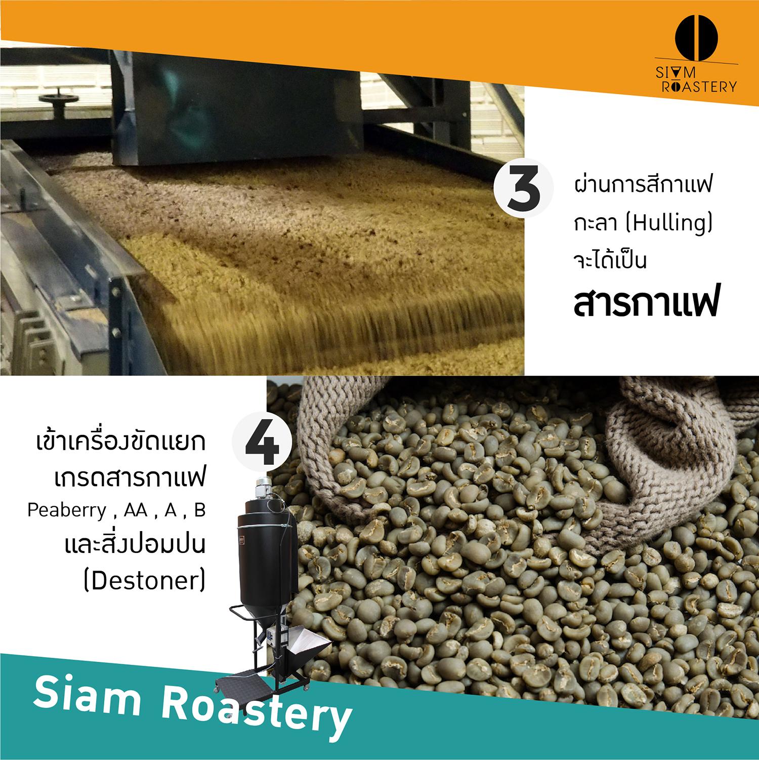 เมล็ดกาแฟดอยช้าง Doi Chang กาแฟดอยช้าง Washed Process คั่วกลาง 1kg ...