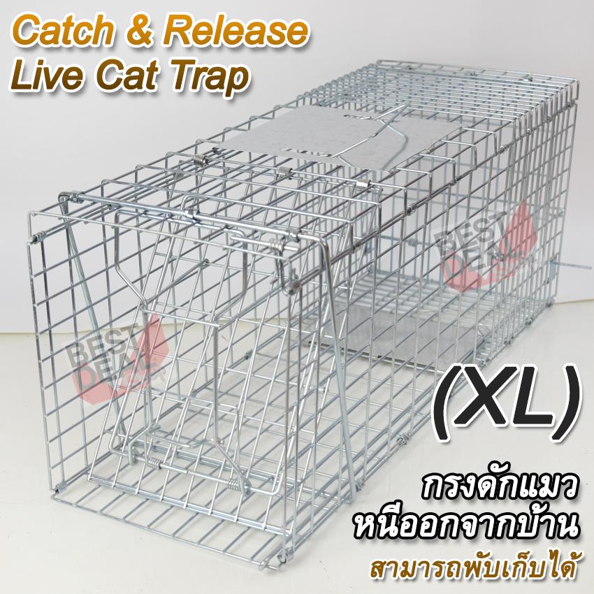 Catch and Release Live Animal Trap for Cat MyCatTrap XL กรงดักแมว กับดักแมว จับแมวจรจัด ดักจับแมว กับดักใช้จับแมว แมวหนีออกจากบ้าน ทำจากเหล็กเส้นกลม ปลอดภัย ไม่บาดคนและสัตว์ ชุบกาวาไนท์กันสนิม พับเก็บได้ แข็งแรงจากการกัด (Sliver)