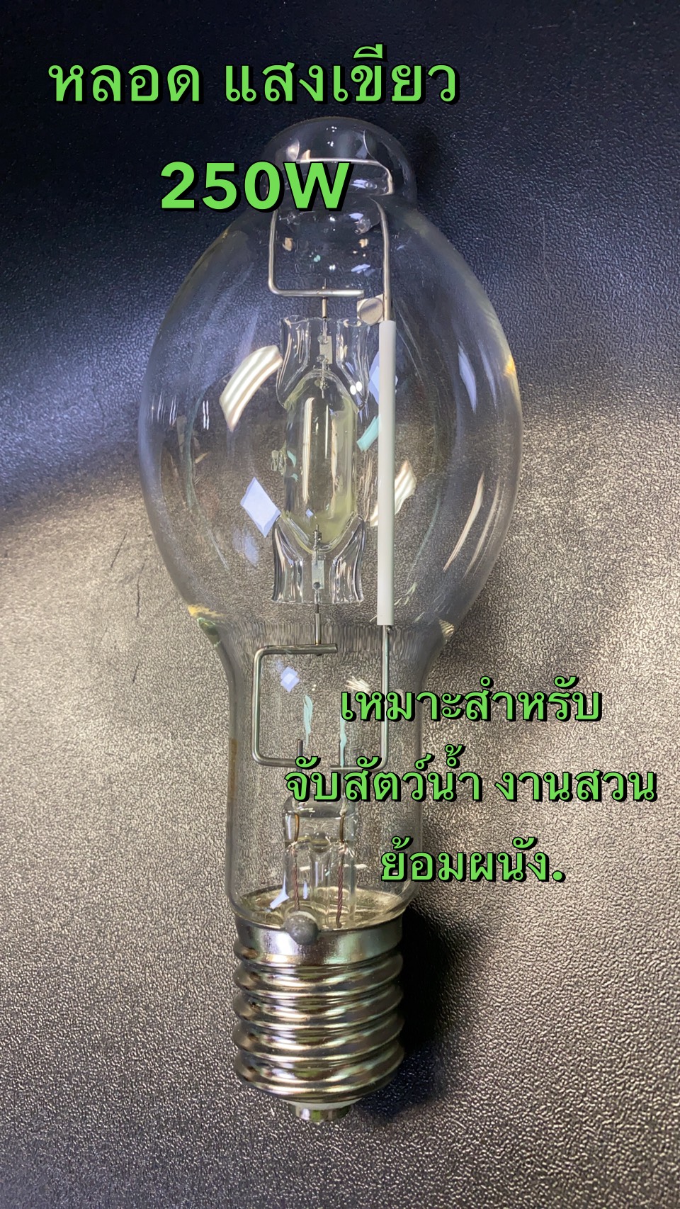 หลอดเมทัลฮาไลท์ Metal Halide Lamp 220V 250W สว่างเต็มวัตต์ E40 แสงสีเขียว หลอดจับหมึก