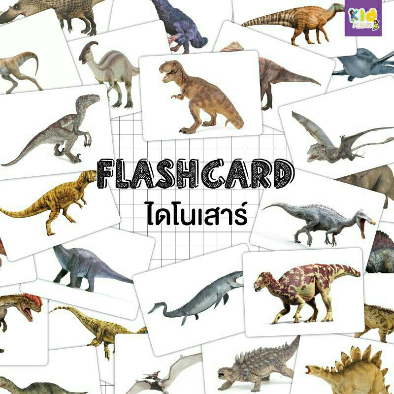 Flashcard dinosaur แฟลชการ์ดไดโนเสาร์ แฟลชการ์ดกระดาษ แฟลชการ์ดภาษาอังกฤษไทย