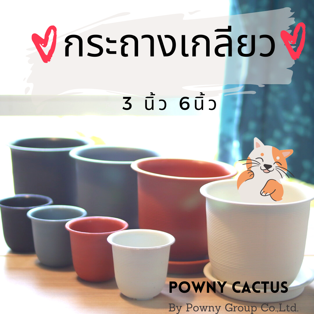 กระถางเกลียว 3 นิ้วและ 6 นิ้วพร้อมจานรอง สไตล์โมเดิร์น พร้อมส่งค่ะ