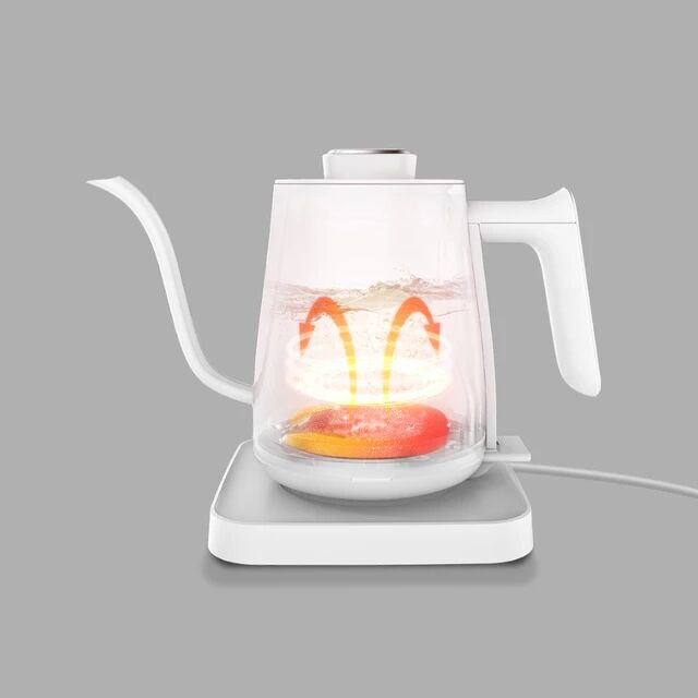 Xiaomi Youlg Water Kettle Electric Coffee Pot Instant Heating