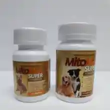ภาพขนาดย่อของภาพหน้าปกสินค้าMitomax small dog (สำหรับสุนัขพันธ์เล็ก และแมว)จุลินทรีย์มีประโยชน์ อาหารเสริมช่วยระบบย่อยอาหาร บรรเทาอาการถ่ายเหลว จากร้าน Pettoland บน Lazada