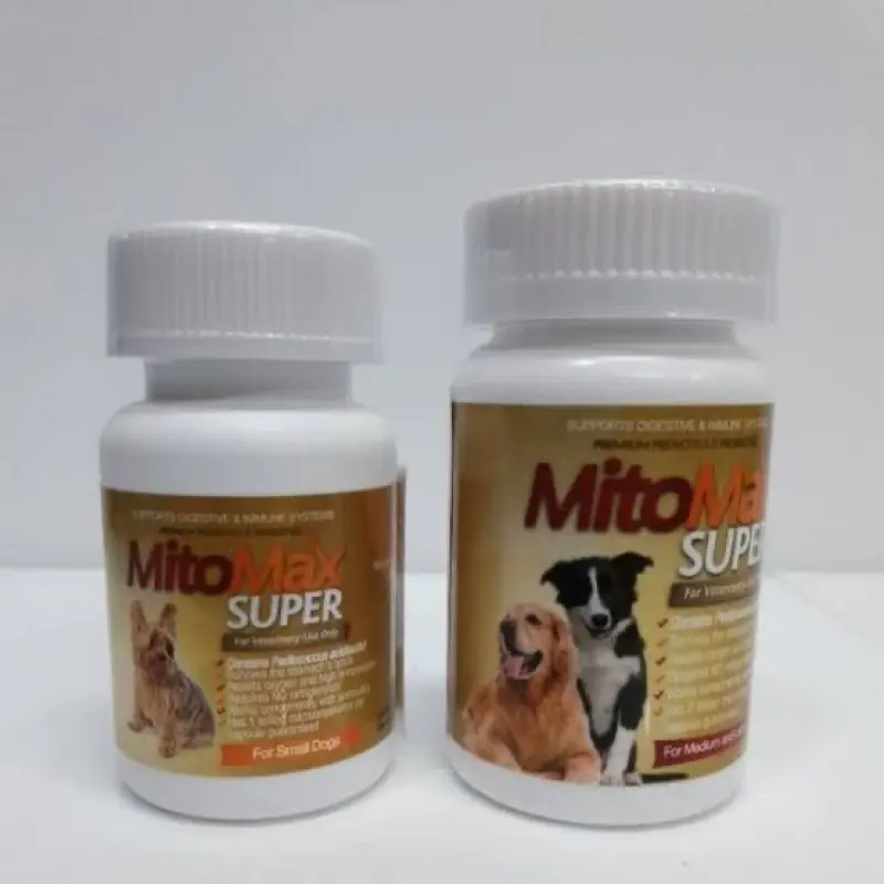 ภาพหน้าปกสินค้าMitomax small dog (สำหรับสุนัขพันธ์เล็ก และแมว)จุลินทรีย์มีประโยชน์ อาหารเสริมช่วยระบบย่อยอาหาร บรรเทาอาการถ่ายเหลว จากร้าน Pettoland บน Lazada