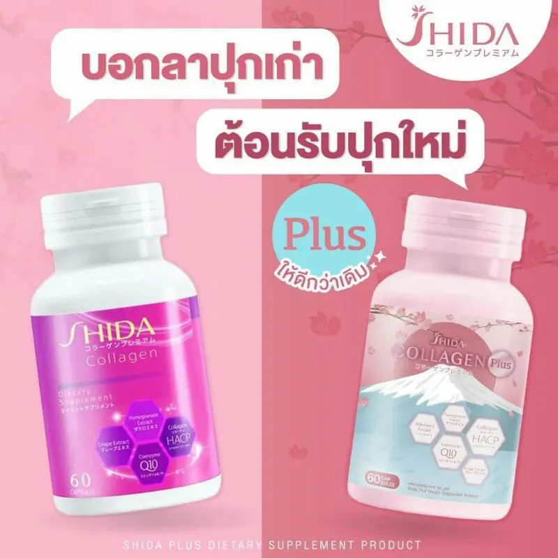 ภาพสินค้าShida Collagen Plus ชิดะคอลลาเจน พลัส สูตรใหม่  คอลลาเจน Shida ส่วนผสมนำเข้าจากญี่ปุ่น ชิดะคอลลาเจน BC คอลลาเจน จากร้าน BellaColla Thailand บน Lazada ภาพที่ 1