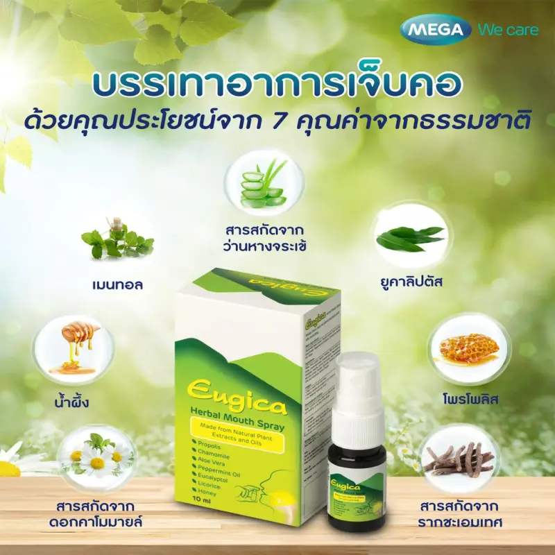 ภาพสินค้าMega We Care E Herbal Mouth Spray 10ml เมก้าวีแคร์ ยูจิก้า เฮอร์บอล เม้าท์ สเปรย์ 10 มล จากร้าน pmn healthcare บน Lazada ภาพที่ 2