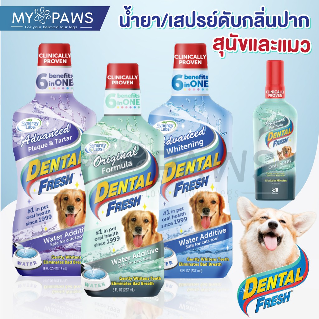 [?โค๊ดส่วนลด] My Paws Dental Fresh - ผลิตภัณฑ์ดูแลสุขภาพในช่องปาก- น้ำยาลดกลิ่นปากสุนัข