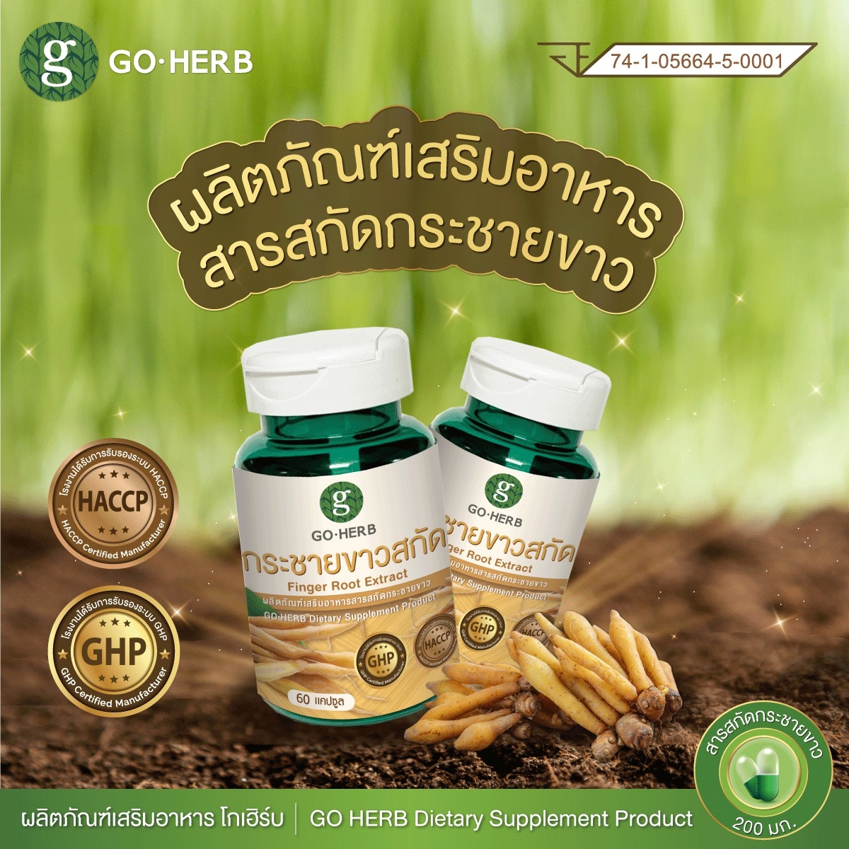 (พร้อมส่ง) กระชายขาวสกัด แบบแคปซูล ตรา goherb ผลิตจากสมุนไพรไทย ปลอดภัย