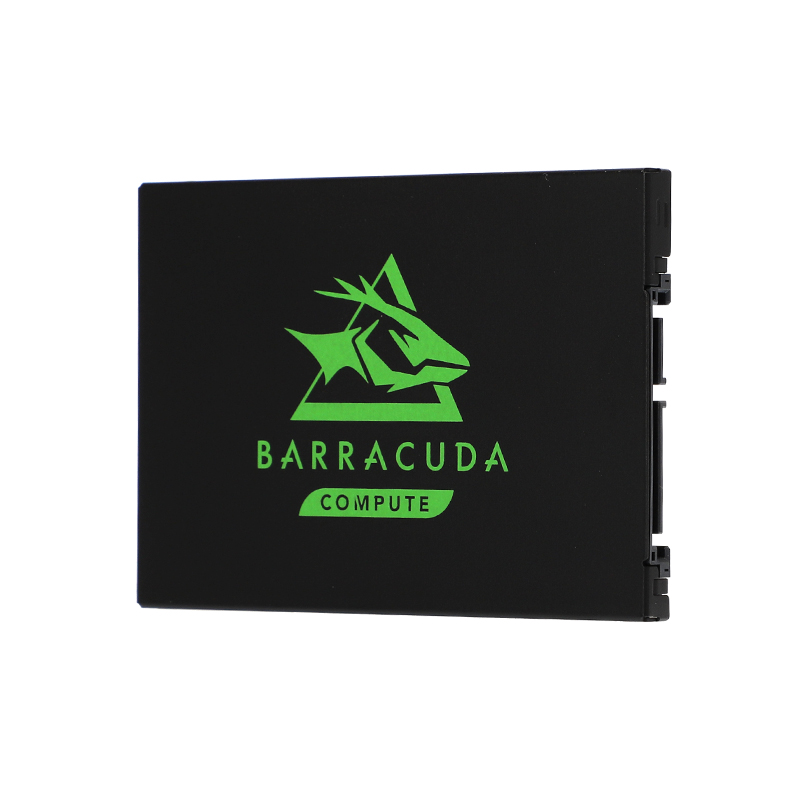 250 GB SSD SATA Seagate Barracuda Advice Online Advice Online