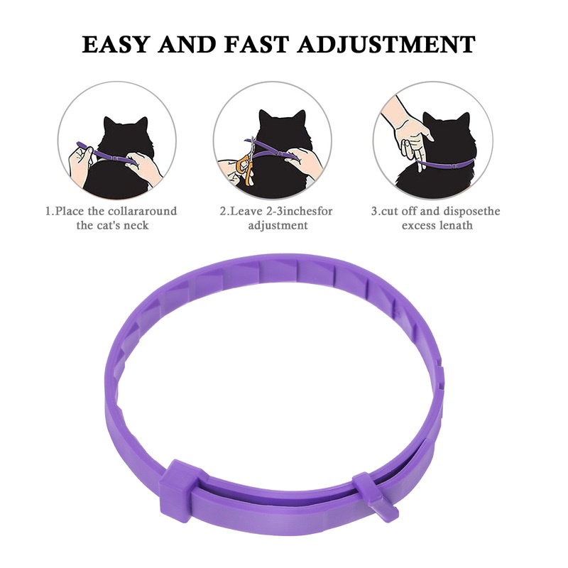 View of 5 Best Calming Collars for Cats with Stress Issues - Catophile