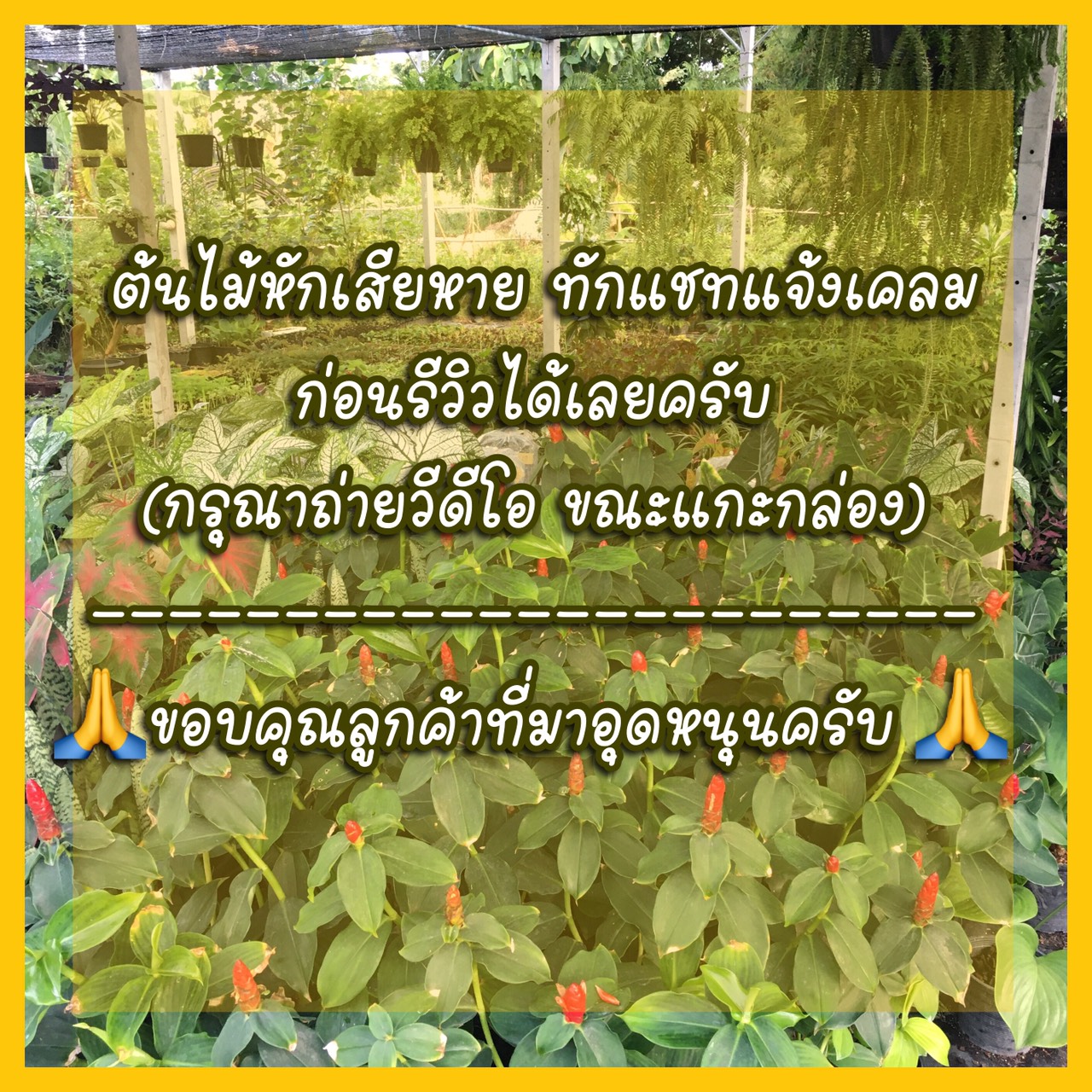 My Image 37