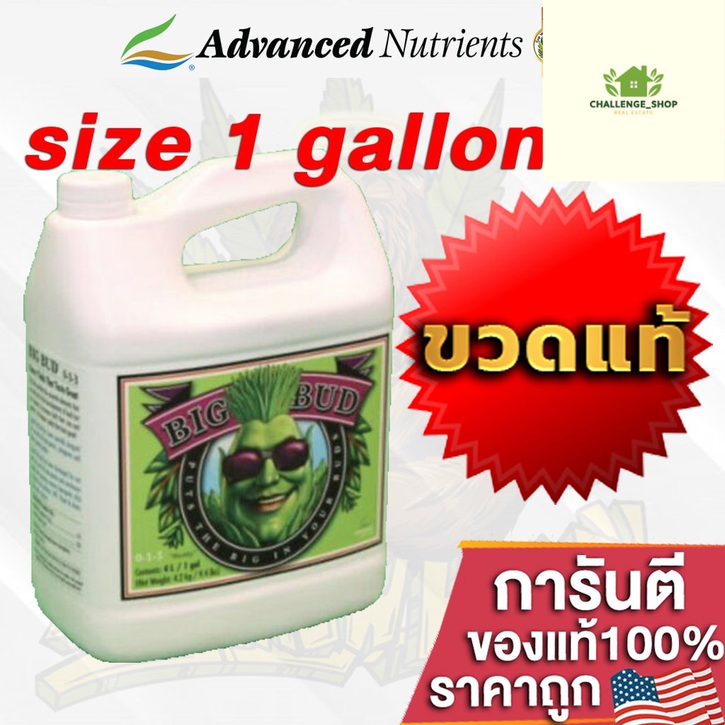 ready-stock-big-bud-advanced-nutrients