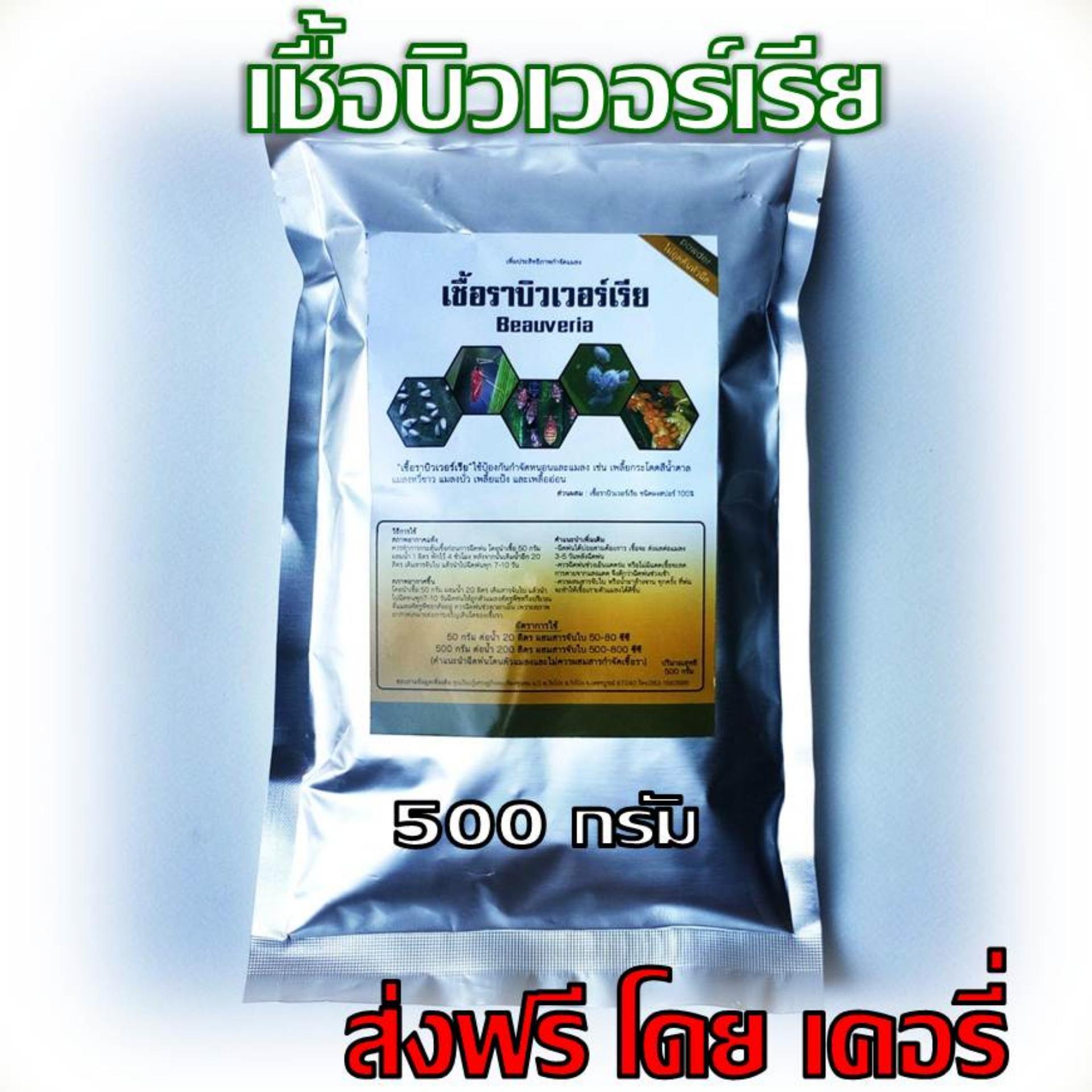 เชื้อราบิวเวอร์เรีย Beauveria ชนิดผงสปอร์ 100% ใช้ป้องกันกำจัดหนอนและแมลง เช่น   เพลี้ยกระโดดสีน้ำตาล แมงหวี่ขาว แมลงบั่ว เพลี้ยแป้ง และเพลี้ยอ่อน แบบซอง 500 กรัม