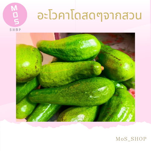 อะโวคาโด( 牛油果avocado) 🥑 ราคาต่อโล/kg. อโวคาโด พันธ์เวียดนาม ส่งตรงจากสวน  เชียงใหม่ รับประการความอร่อย