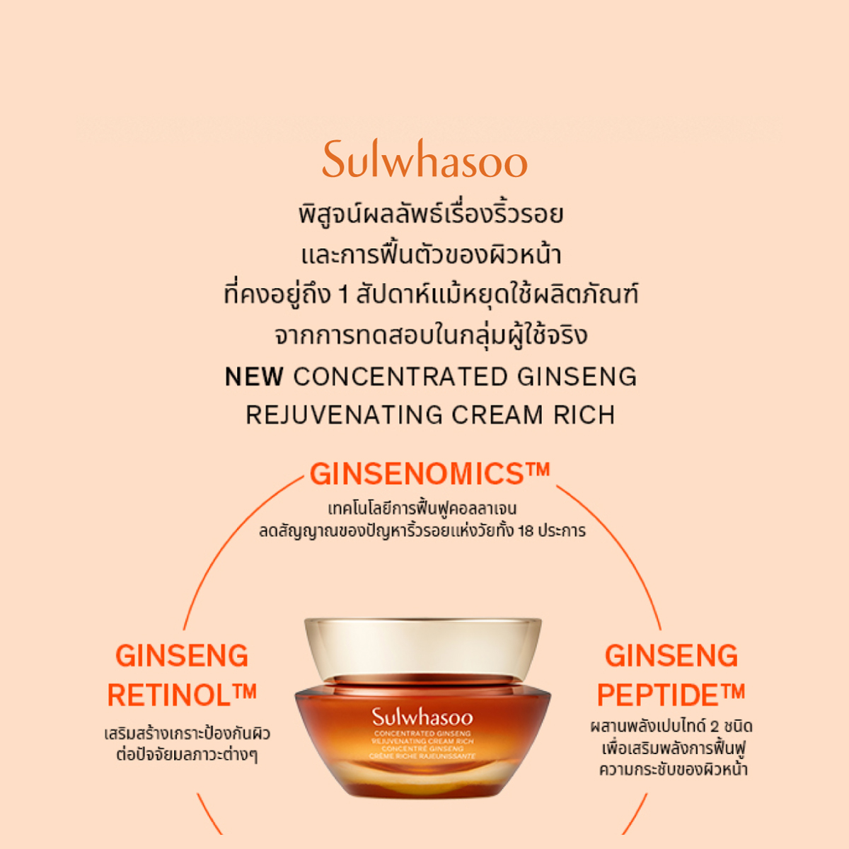 NEW] SULWHASOO Concentrated Ginseng Rejuvenating Cream Rich 30ML โซลวาซู  ครีมบำรุงผิวหน้าที่ช่วยลดเลือนริ้วรอย ครีมเกาหลีจากซัลวาซู (ปรับสูตรใหม่) |  Lazada.co.th