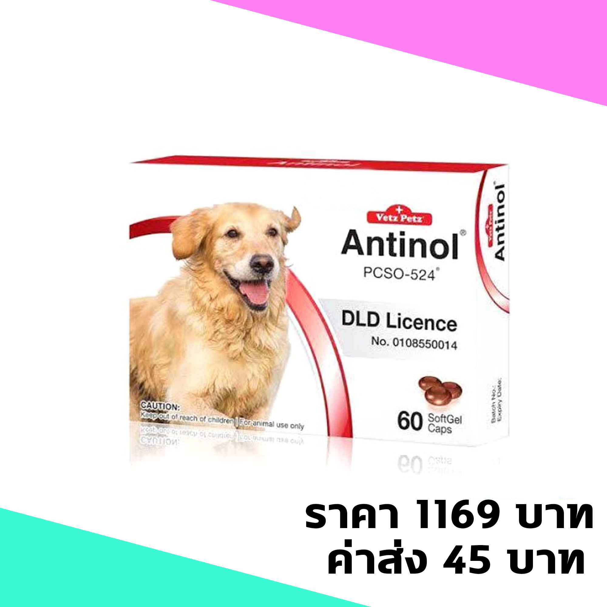 Vetz Petz Antinol Dog อาหารเสริมบำรุงข้อสำหรับสุนัข บรรจุ 60 เม็ด จำนวน 1 กล่อง