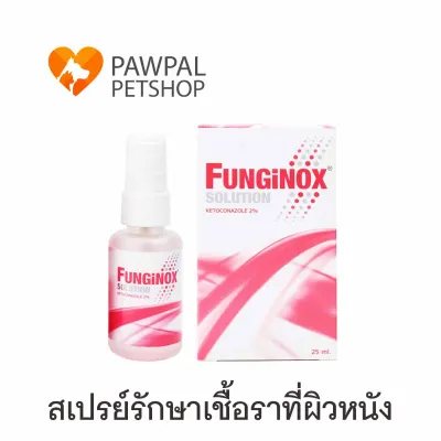 Funginoxฟังจิน็อกซ์ Spray 25 ml มล. Exp.3/2024 สเปรย์ สัตว์เลี้ยง สุนัข แมว กระต่าย dog cat exotic solution (1 ขวด)